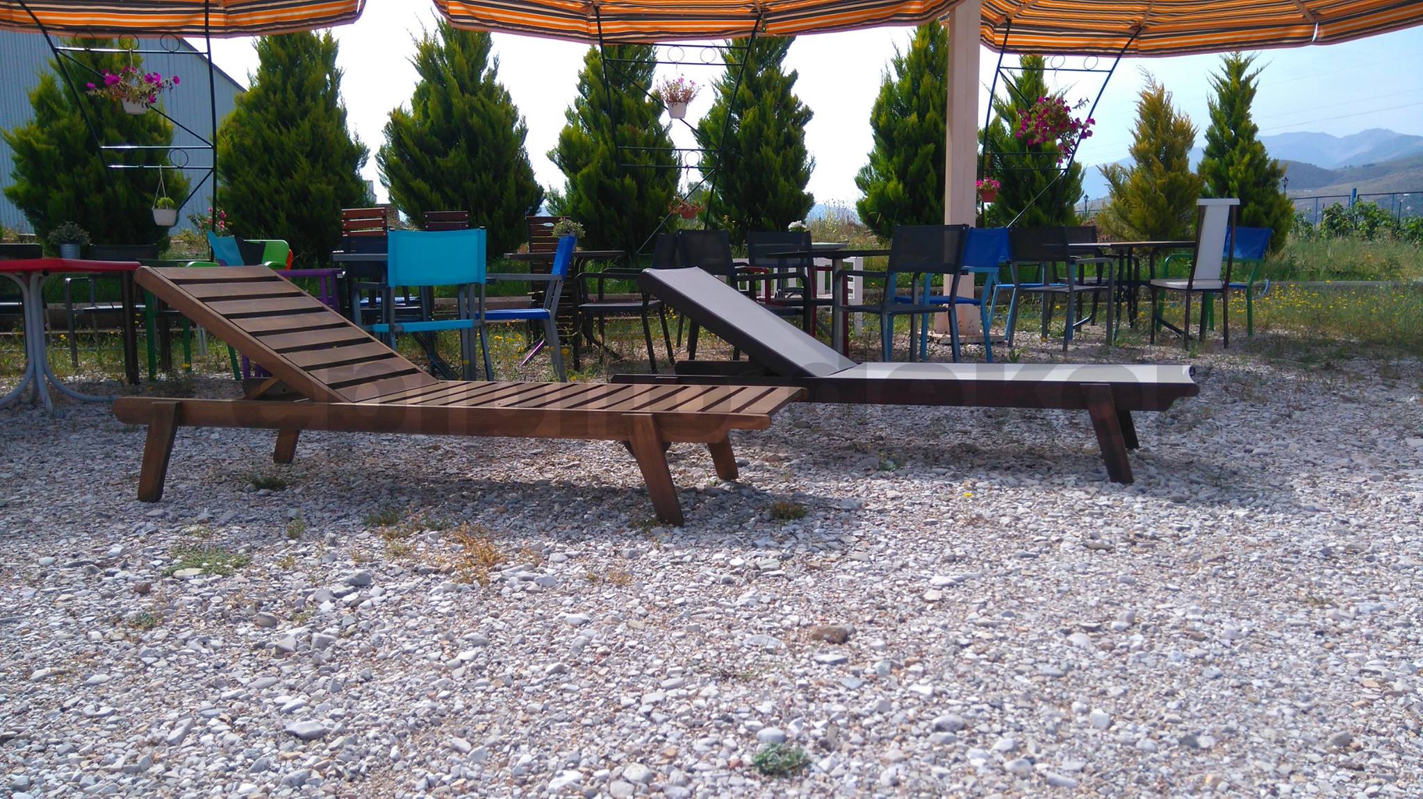 Shezllon – June 20