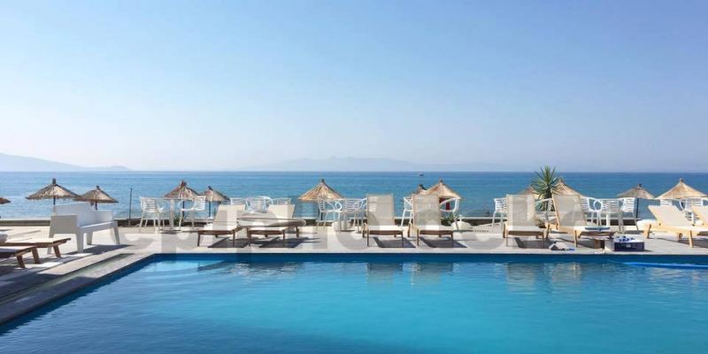 Shezllon – August 6